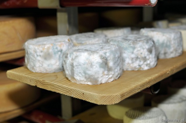 appenzeller, Switzerland, dairy, Sennerei Andeer,cheese