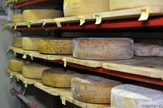 ser, Switzerland, Sennerei, Andeer, dairy, cheese production