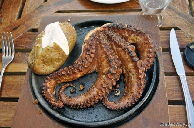 octopus, Mexico, culinary tourism