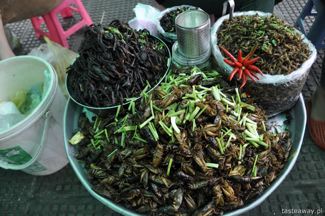 robaki, jeść robaki, Phnom Penh, Kambodża, jak podróżować kulinarnie