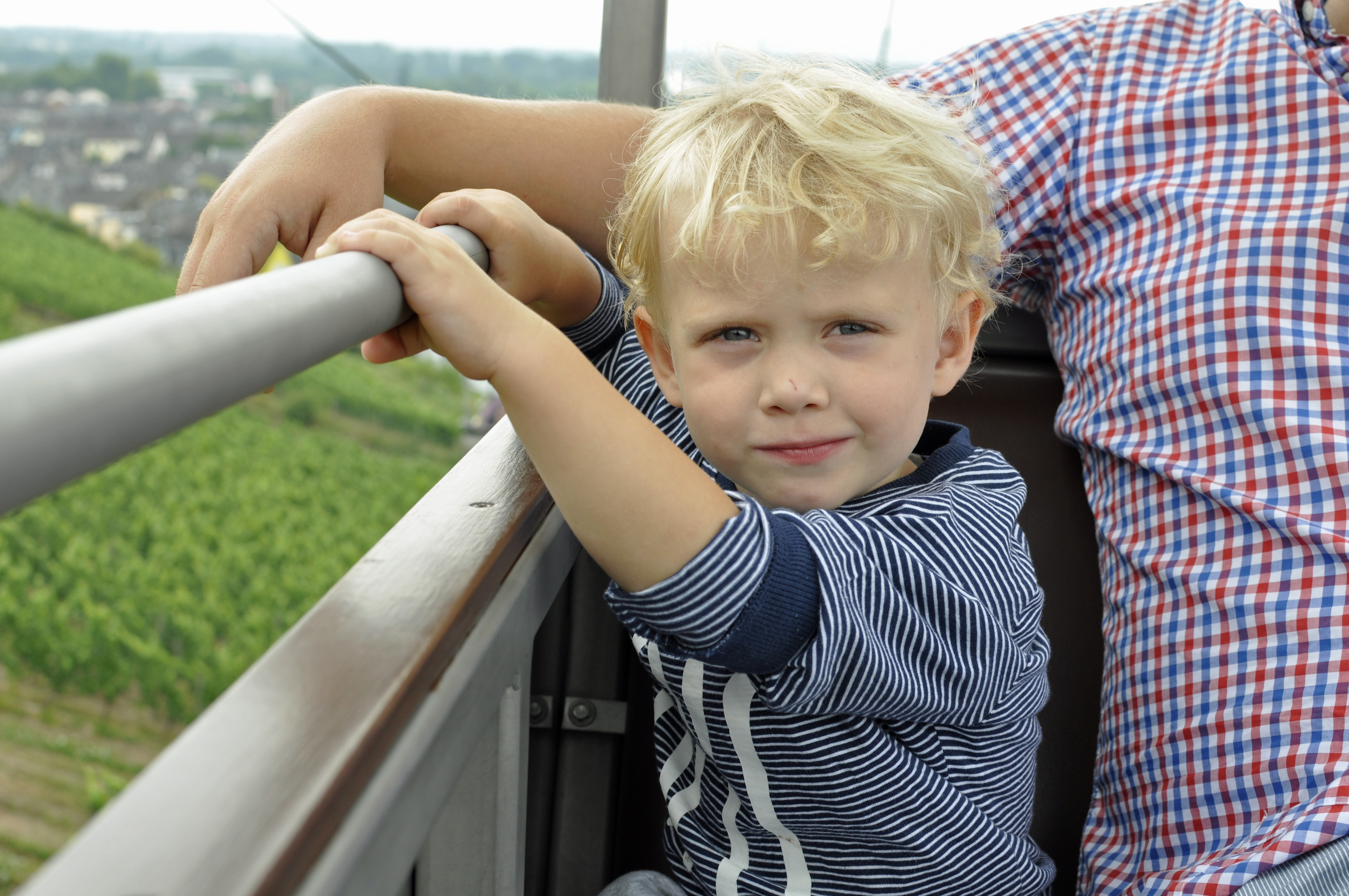 Nadrenia, Rudesheim, Niemcy, winnice