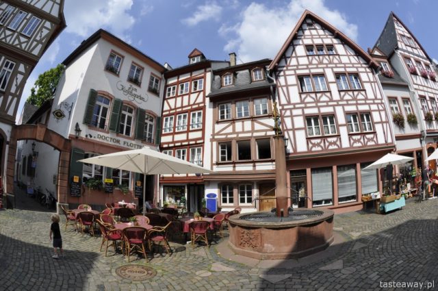 Mainz, Rhineland, Germany, travelling with a child