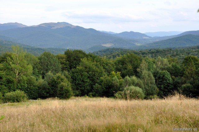 Bieszczady, mountains, Mała Rawka, Wetlina, Chata Wędrowca, shelter home pod Małą Rawką