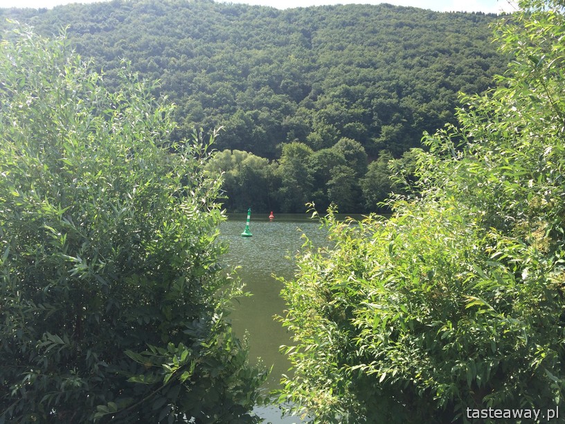 Mozela, rowerem nad Mozelą, rowerem nad Renem, Nadrenia, Niemcy, rowerem z dzieckiem