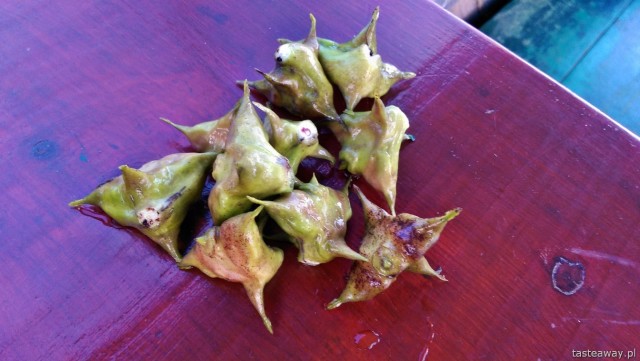 Laka Skadar, water chestnuts, Balkan cuisine, Montenegro