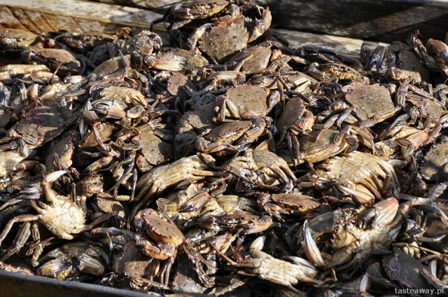 crabs, seafood, fishing, Isle of Skye, Scotland
