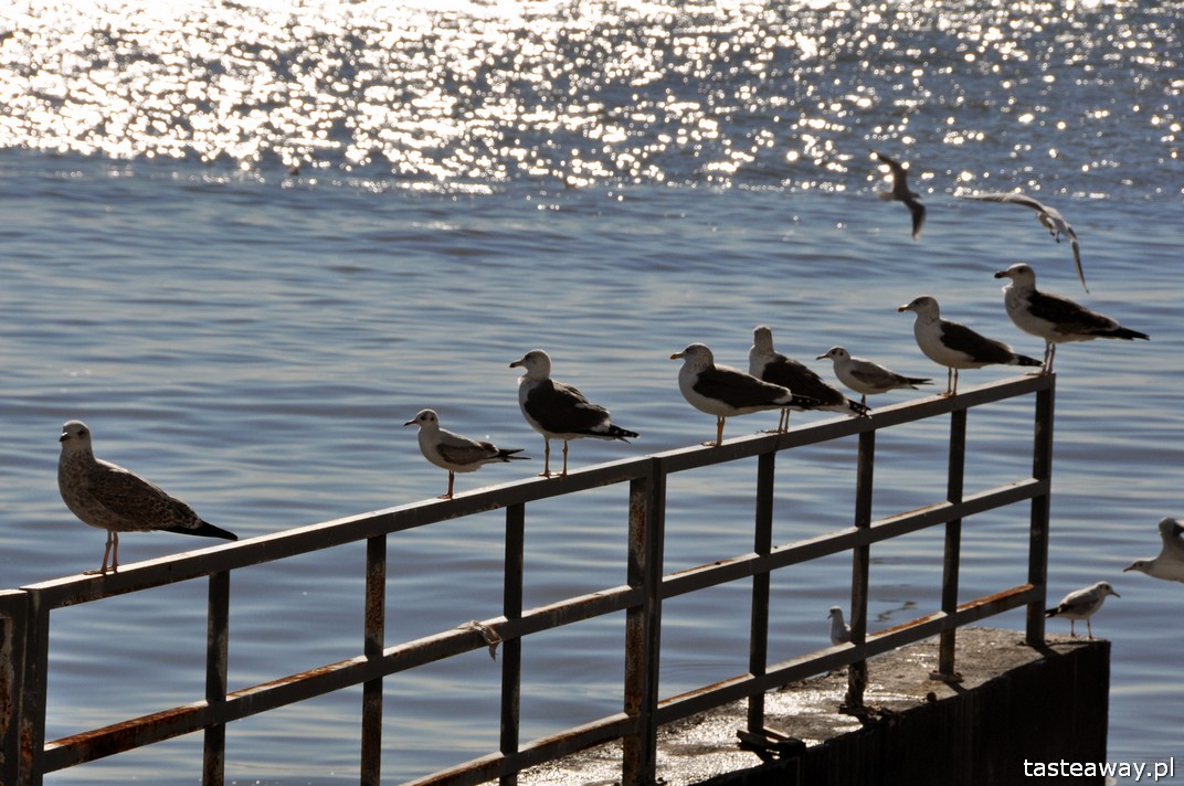 Lizbona, Portugalia, city break