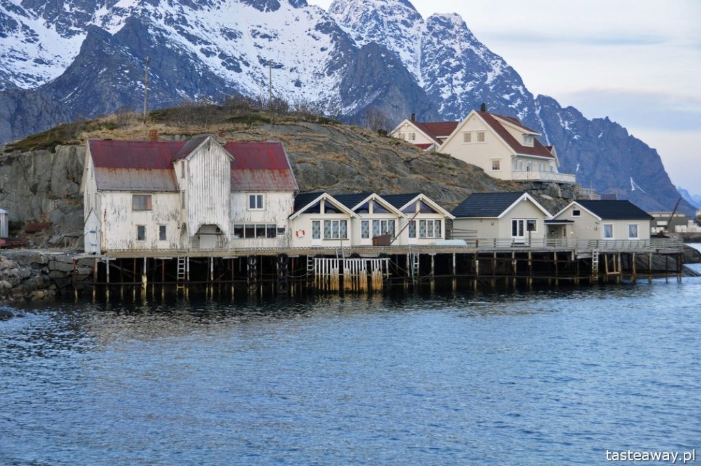 Lofoty, Norwegia, blog podróżniczy, Tasteaway