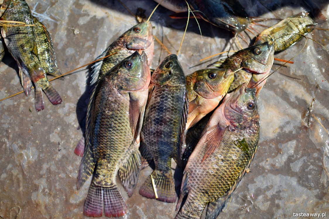 Inle Lake, Birma, co zobaczyć w Birmie,  najpiękniejsze miejsca w Birmie