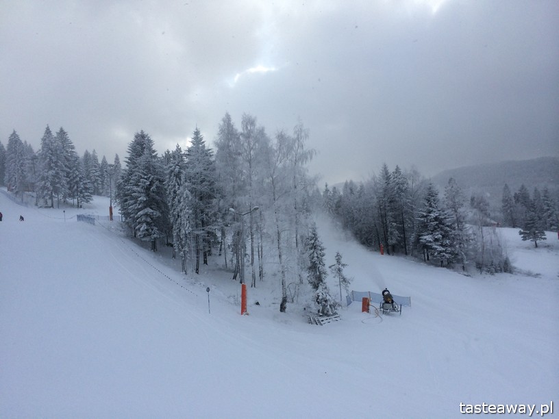 Wierchomla, Wierchomla Ski & SPA Resort, narty, narty z dzieckiem, gdzie na narty