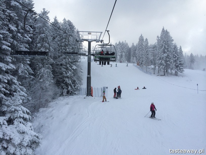 Wierchomla, Wierchomla Ski & Spa Resort, narty, narty z dzieckiem, gdzie na narty w Polsce