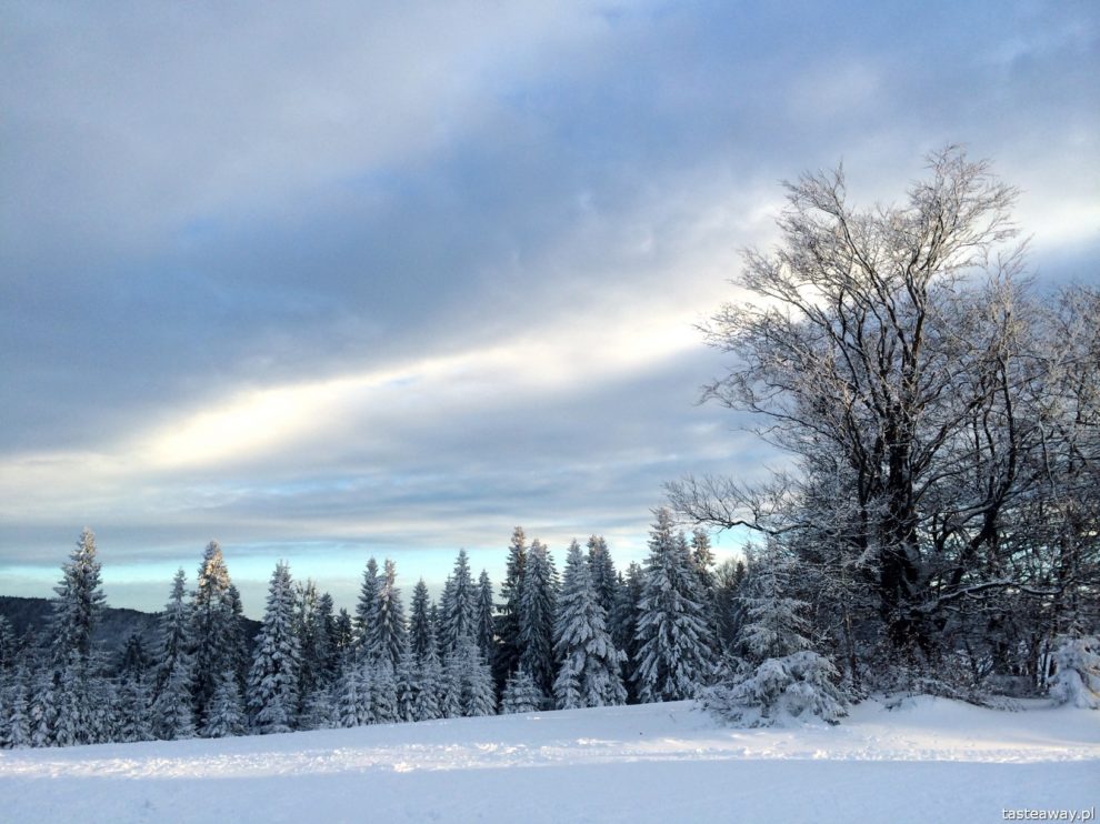 Wierchomla, Wierchomla Ski & SPA Resort, Beskid Sądecki