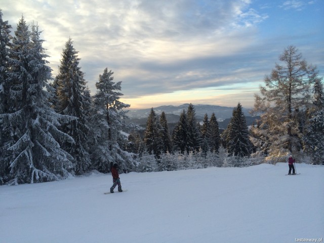 where to go skiing, skiing with a child, Wierchomla, Wierchomla Ski & SPA Resort