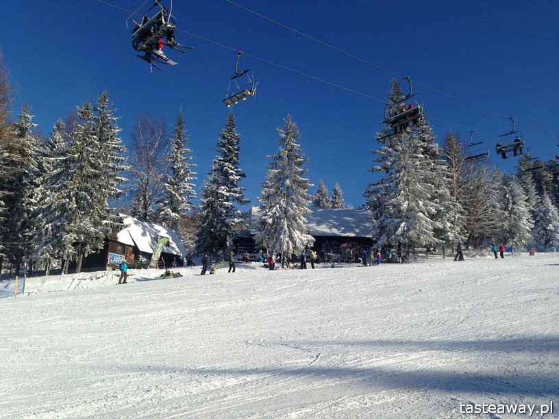Wierchomla, Wierchomla Ski & SPA Resort, narty, narty z dzieckiem, gdzie na narty