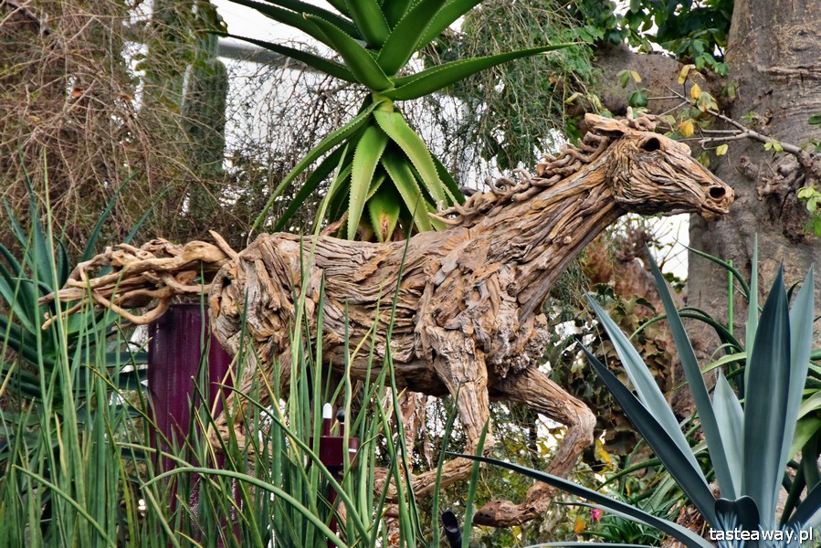 Singapur, Gardens by the Bay, Marina, FLower Dom