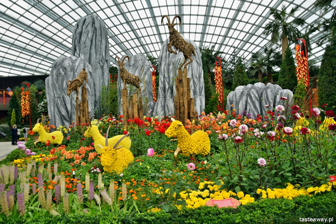 Gardens by the Bay, Singapur, Marina Bay Sands, co zobaczyć w Singapurze, Singapur z dzieckiem