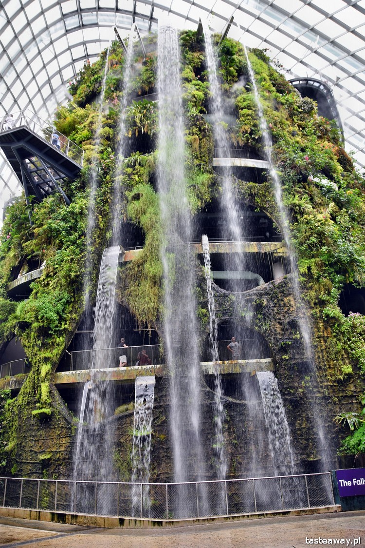 Gardens by the Bay, Marina, Singapur, co zobaczyć w Singapurze