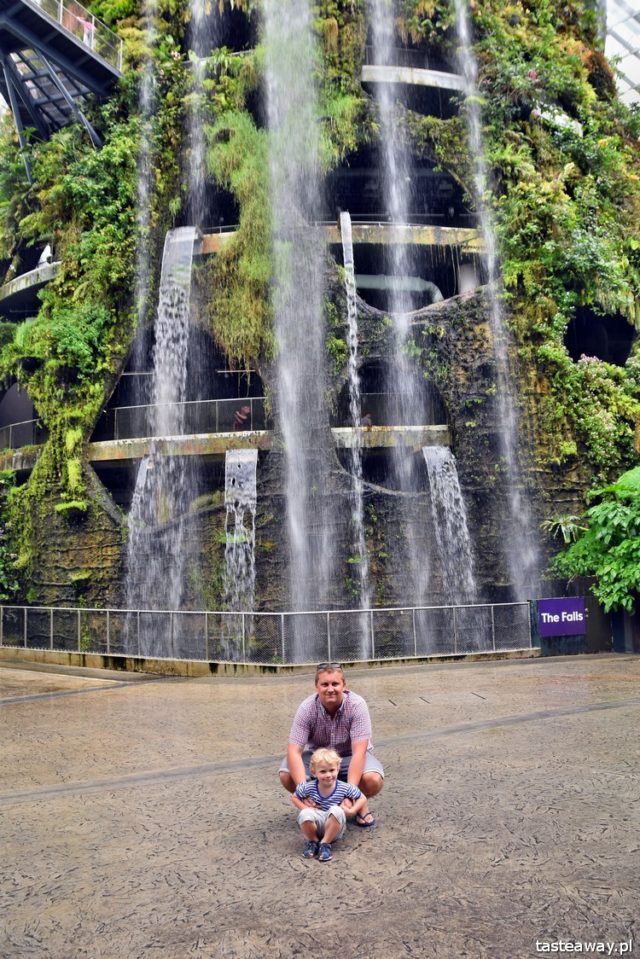 Singapore, Gardens by the Bay, what to see in Singapore, Singapore with a child, gardens