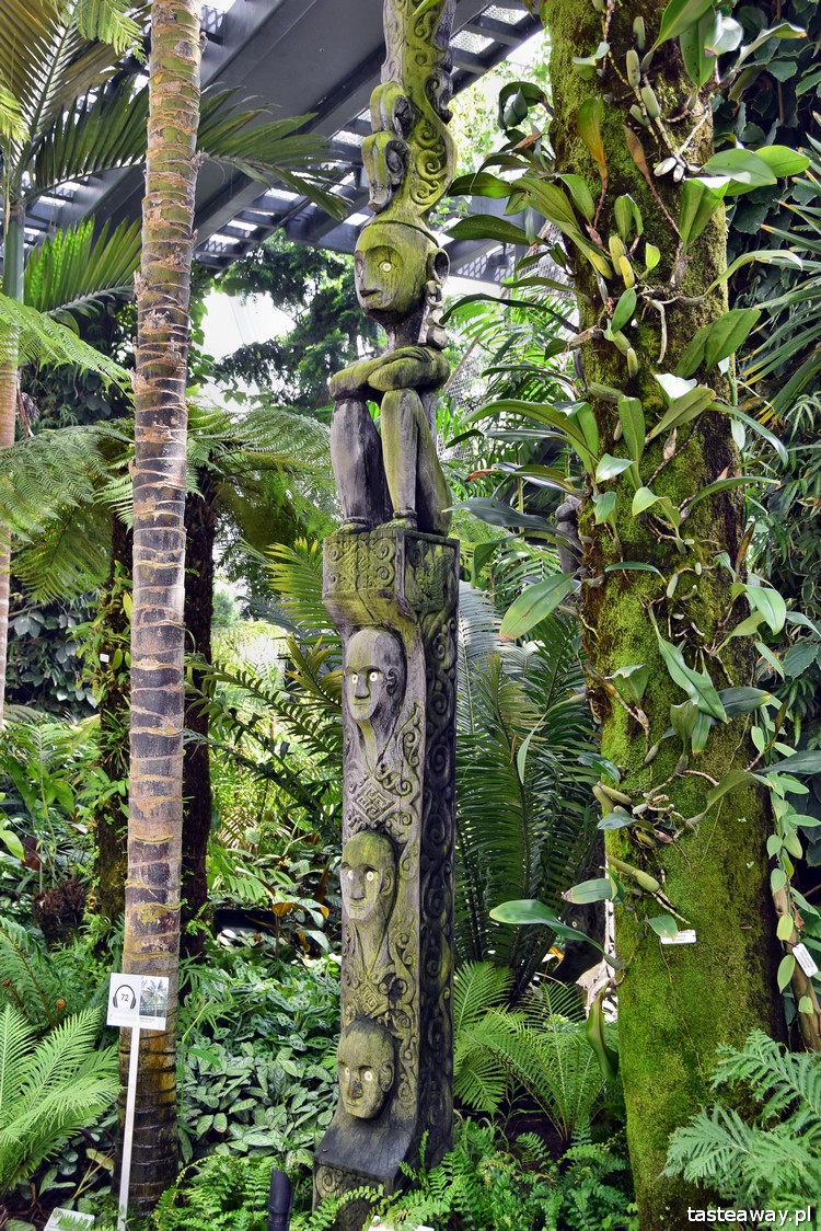 Singapur, co robić w Singapurze, Gardens By the Bay, Cloud Forest