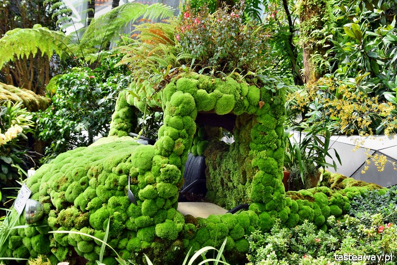 Gardens By the Bay, Singapur, najbardziej niesamowity ogród świata, Cloud Forest, Singapur z dzieckiem