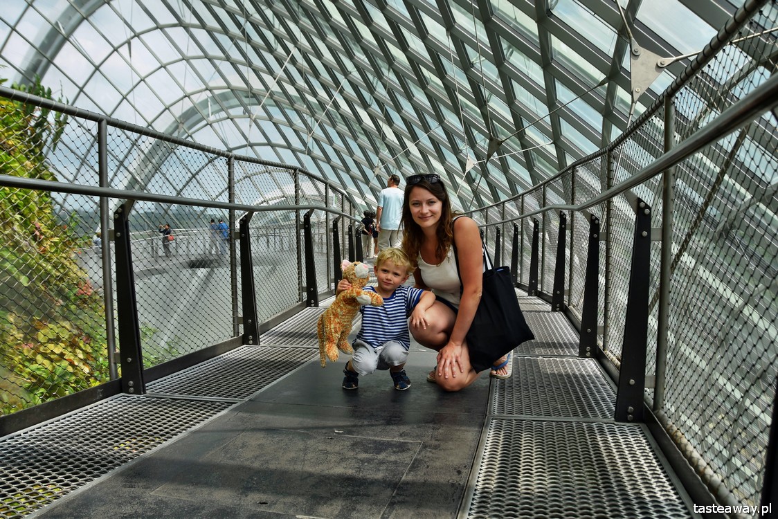 Singapur, Marina, Gardens by The Bay, co zobaczyć w Singapurze, Singapur z dzieckiem