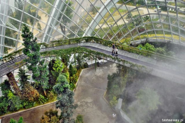 Gardens By the Bay, Singapore, what to do in Singapore, Singapore with a child, Cloud Forest