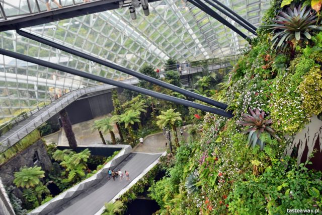 Gardens by the Bay, Singapore, what to see in Singapore, Singapore with a child, CLoud Forest