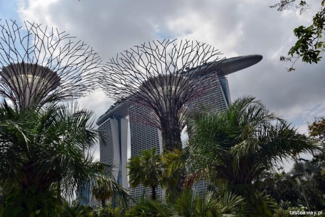 Gardens By the Bay, Supertrees, Singapore, Singapore with a child,