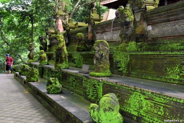 Bali, what to see on Bali, Ubud, Indonesia with a child, attractions for kids on Bali, Monkey Forest, monkey grove