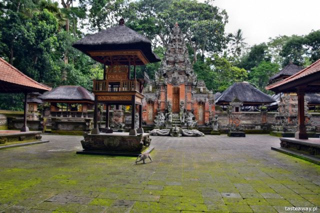 Bali, what to see on Bali, Ubud, Indonesia with a child, attractions for kids on Bali, Monkey Forest, monkey grove
