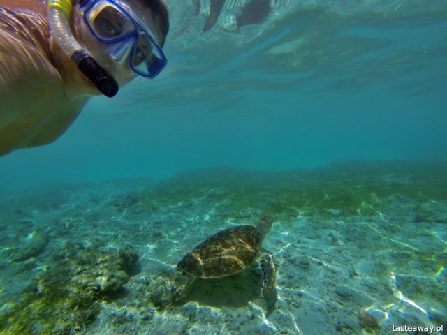 Indonesia, Gili archipelago, Gili Islands, diving, snorkelling with turtles, Gili Trawangan, the most beautiful beaches