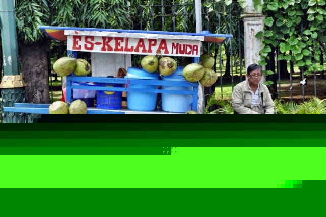 Es Kelapa Muda, coconuts, Java, Indonesia, Jakarta