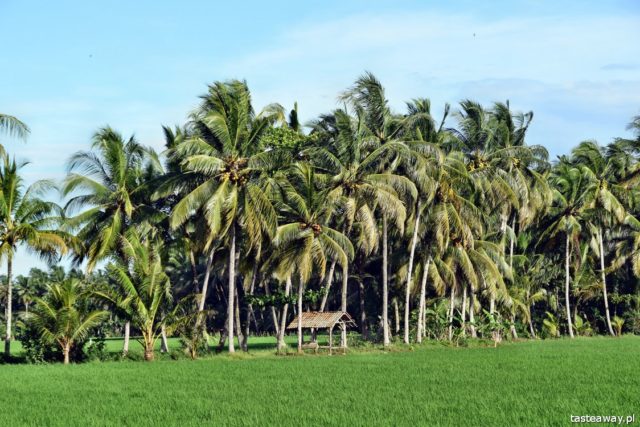 Indonesia, what to see in Indonesia, Java