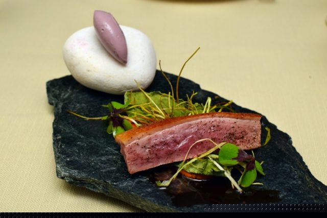 Salto, Martin Gimenez Castro, Warsaw, best restaurants in Warsaw, fine dining, duck