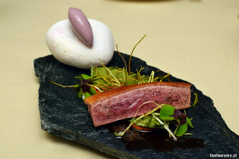 Salto, Martin Gimenez Castro, Warszawa, najlepsze restauracje w Warszawie, fine dining, kaczka