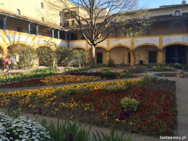 Provence, France, what to see in Provence, Arles, Amphitheatre, Van Gogh