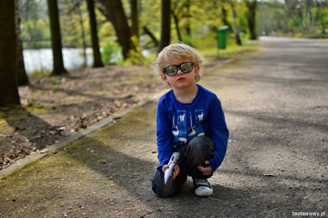 Poznań, New Zoo, what to see in Poznań, attractions for kids in Poznań