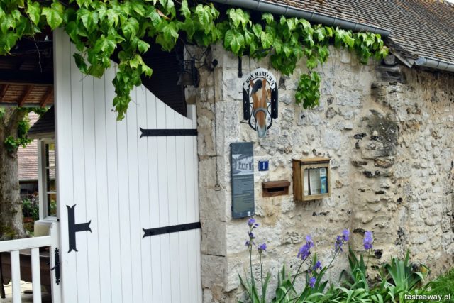 Giverny, France, France, Claude Monet, what to see in France, Claude Monet's garden