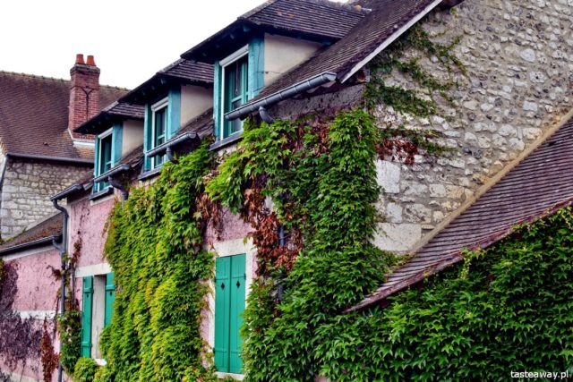 Giverny, France, France, Claude Monet, what to see in France, Claude Monet's garden