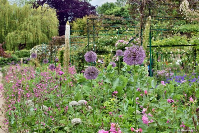 Giverny, France, France, Claude Monet, what to see in France, Claude Monet's garden