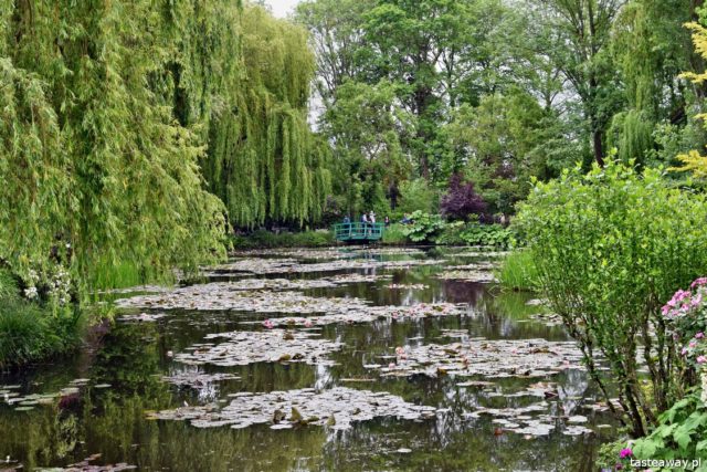 Giverny, France, France, Claude Monet, what to see in France, Claude Monet's garden