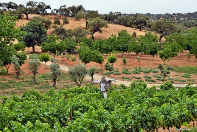 Horta da Moura, hotels in Alentejo, Portugal, Alentejo, Monsaraz, what to see in Portugal, what to see in Alentejo, most beautiful places in Portugal, 