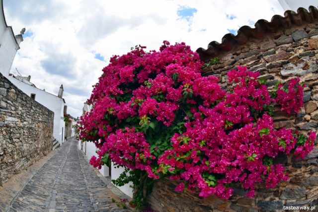Horta da Moura, hotels in Alentejo, Portugal, Alentejo, Monsaraz, what to see in Portugal, what to see in Alentejo, most beautiful places in Portugal, 