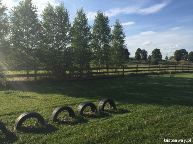 Mazurska Arkadia, Mazury, holidays with a child, family-friendly places, children-friendly places, magical places in Poland