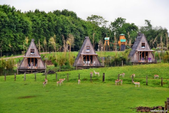 Normandy, La Cerza, zoo