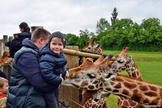 Normandy, France, what to see in Normandy, Zoo in La cerza