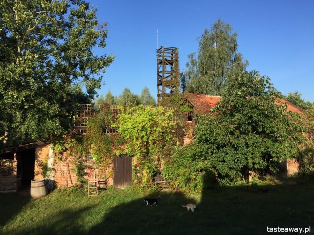 Glendoria, magical places in Poland, magical places for weekend, weekend for two, Mazury, barn, rooms, places with a soul