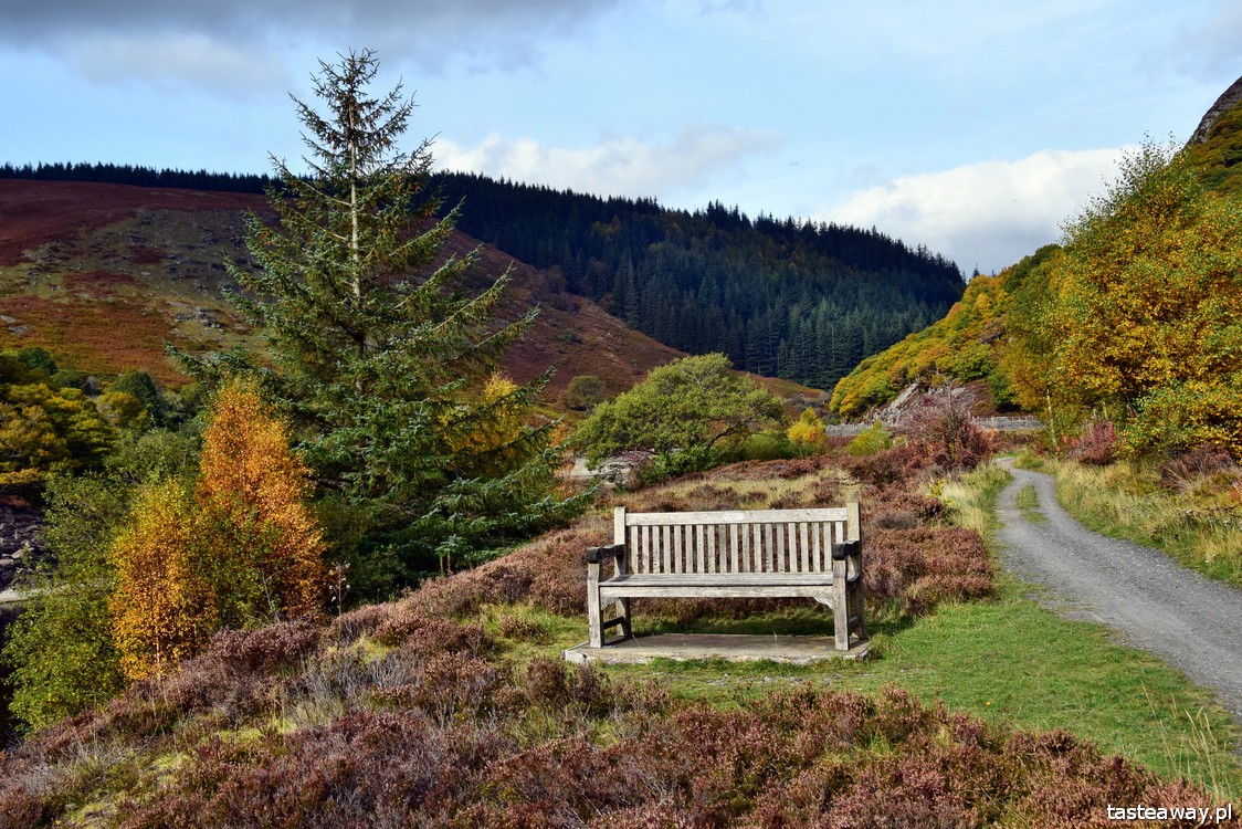 Elan Valley, Walia, Wielka Brytania, co zobaczyć w Walii, najpiękniejsze miejsca w Walii, Walia rowerem, rower z dzieckiem