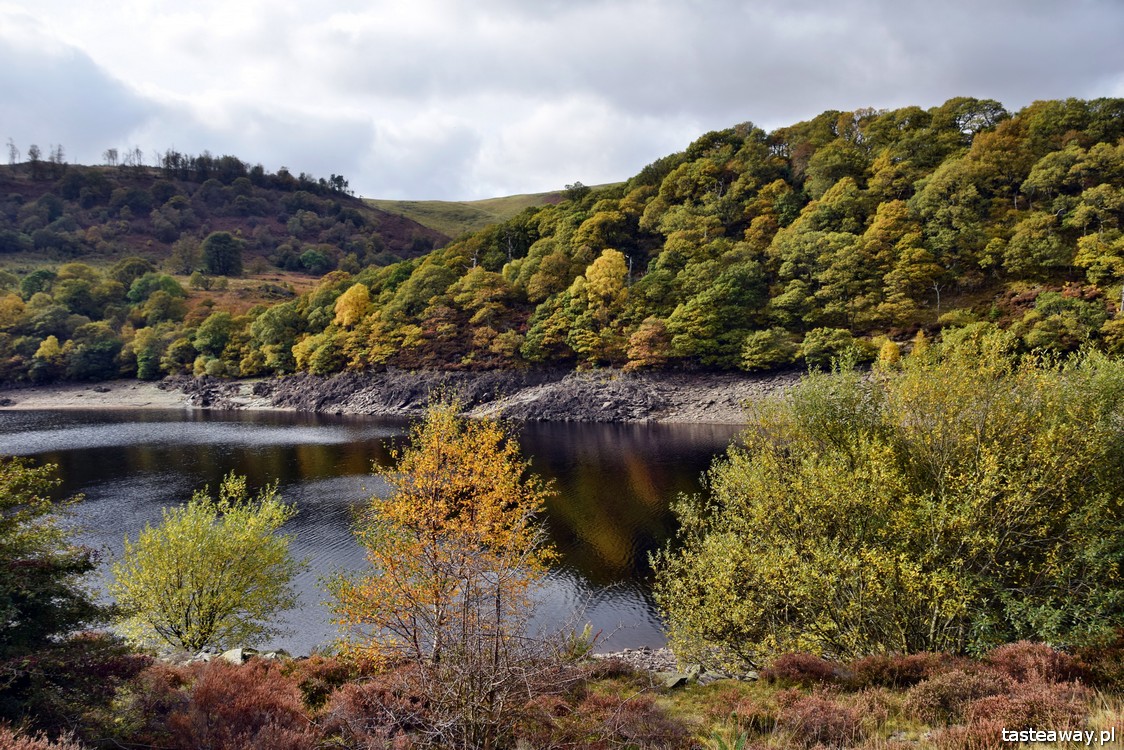 Elan Valley, Walia, Wielka Brytania, co zobaczyć w Walii, najpiękniejsze miejsca w Walii, Walia rowerem, rower z dzieckiem