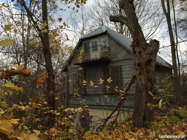 Kazimierz Dolny, an idea for a weekend, weekend out of town, weekend out of Warsaw